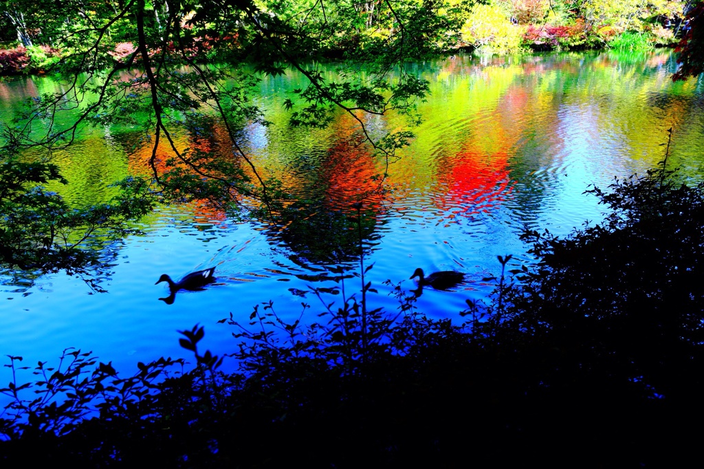 湖畔の紅葉