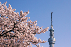 2012ハル