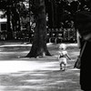 コウエンのオヤコ