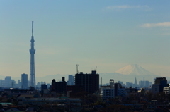 富士山とスカイツリー