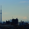 富士山とスカイツリー