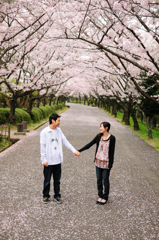 桜の木の下で