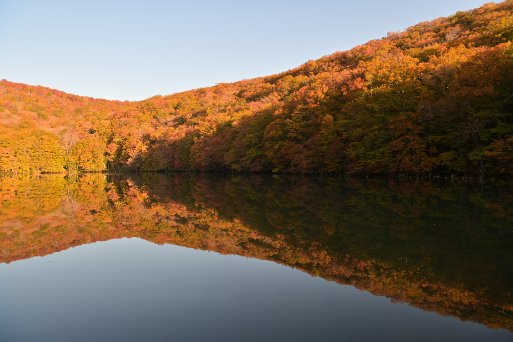 蔦沼の紅葉