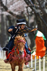 桜流鏑馬