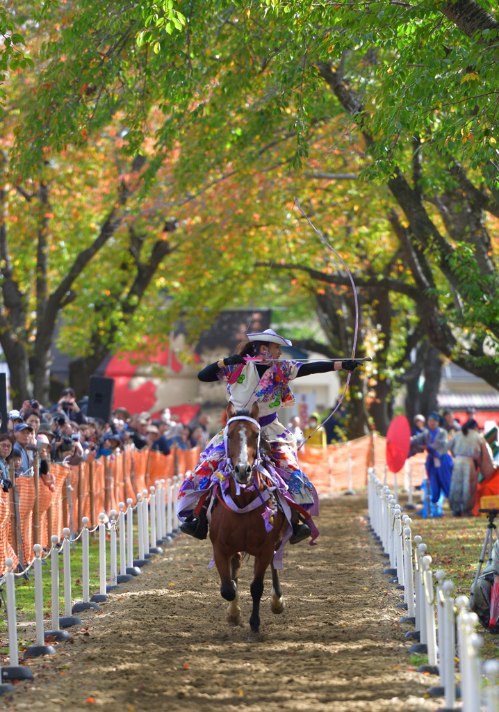 流鏑馬世界選手権