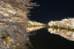 弘前城さくらまつり