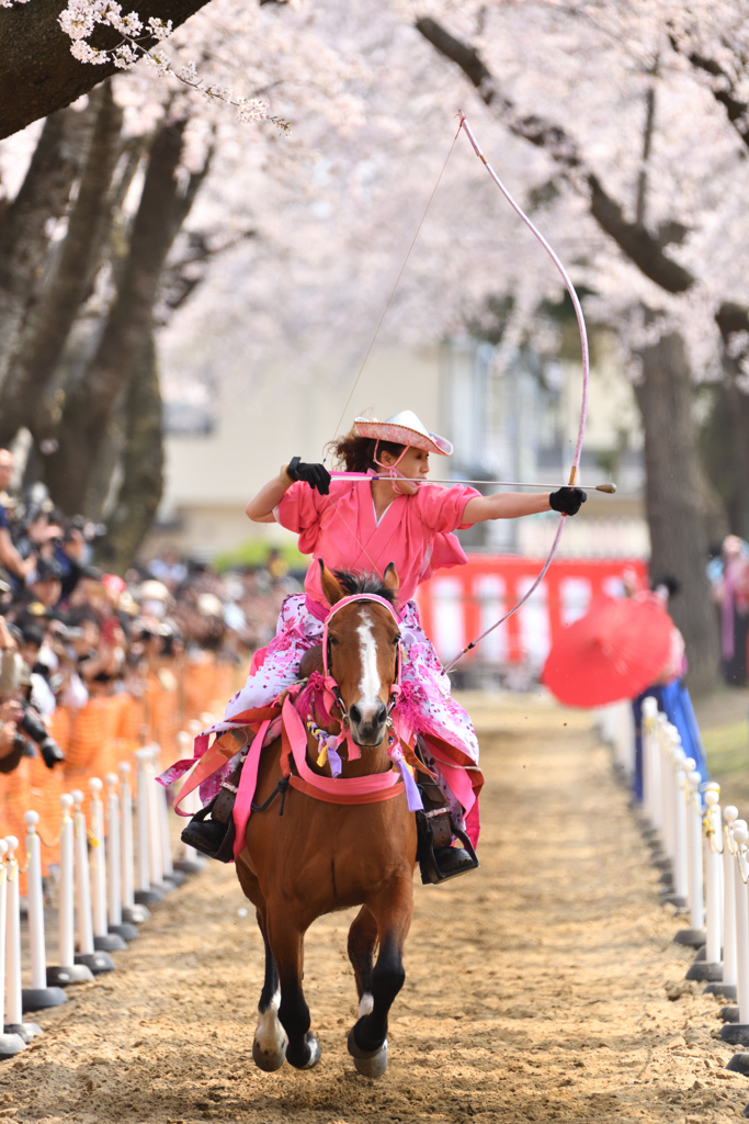桜流鏑馬