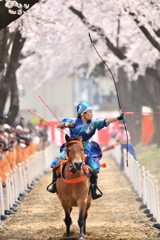 桜流鏑馬