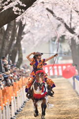 桜流鏑馬