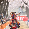 桜流鏑馬