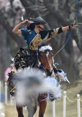 桜流鏑馬