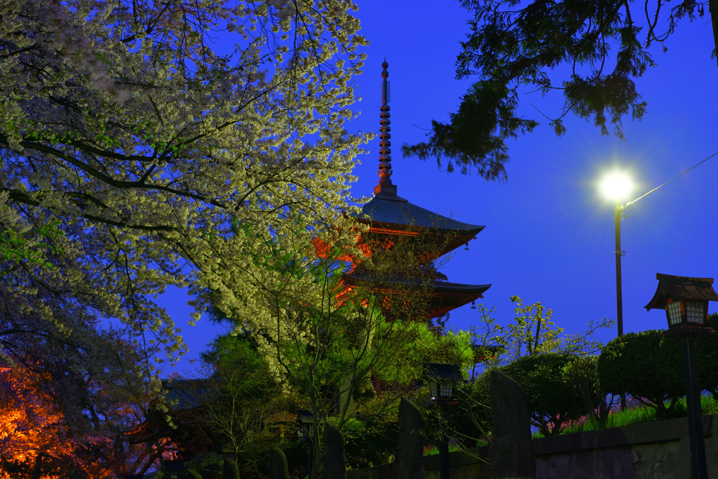 弘前　最勝院　五重塔