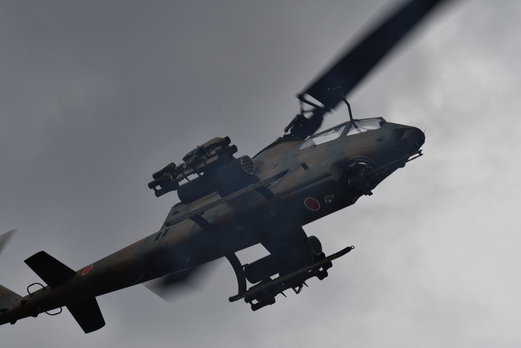 陸自　訓練展示