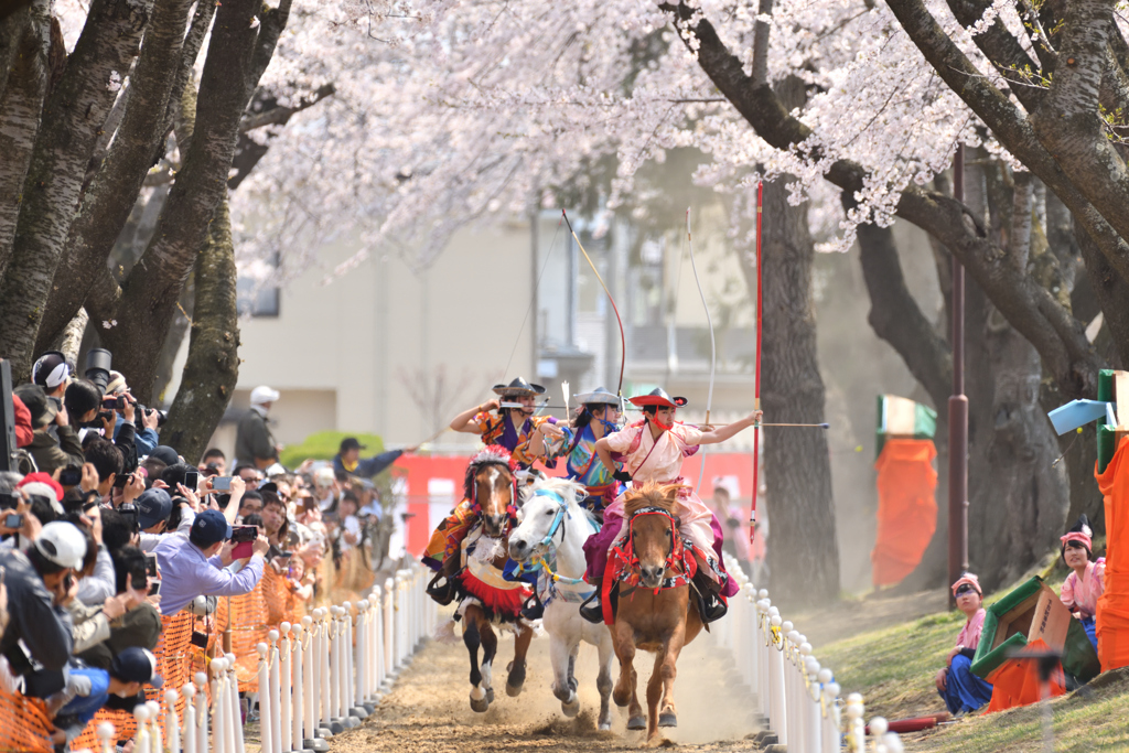 桜流鏑馬