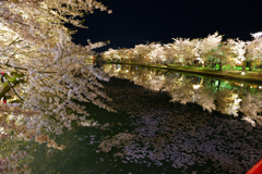 弘前城さくらまつり