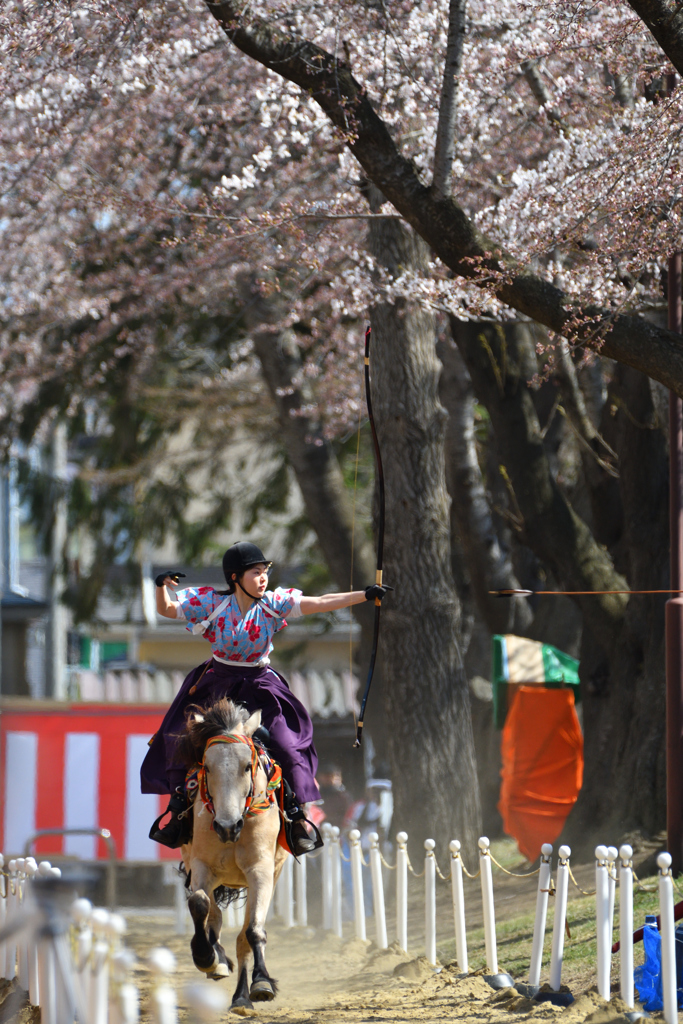 桜流鏑馬