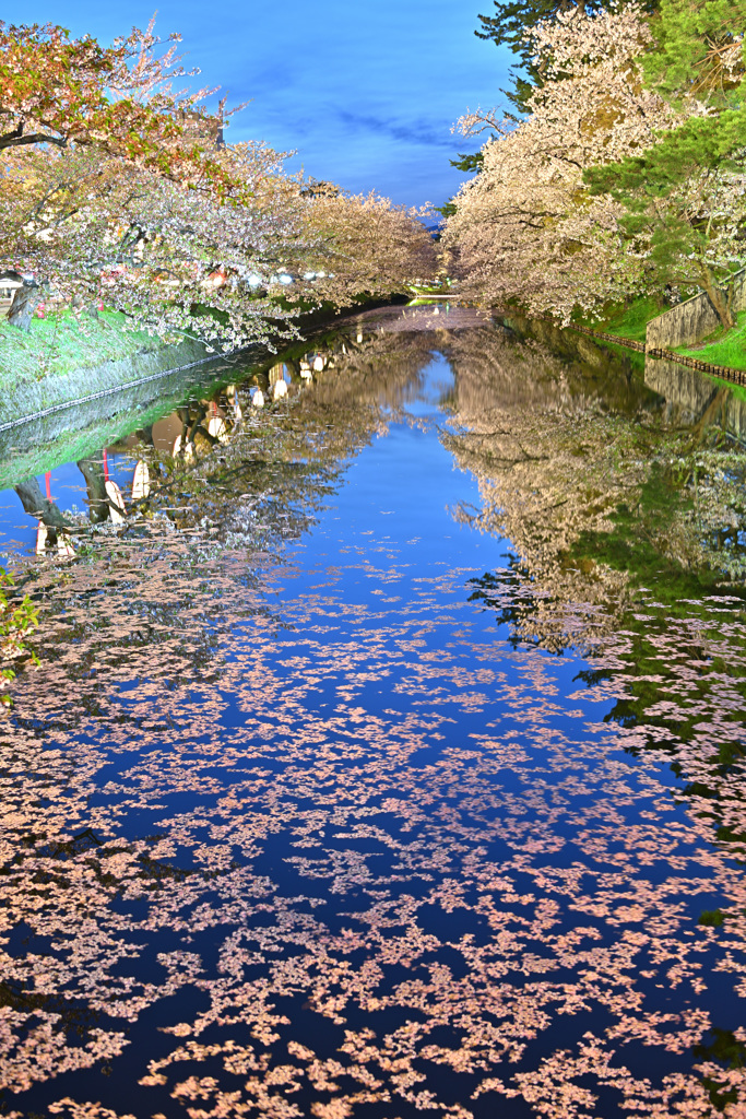 弘前城　花いかだ