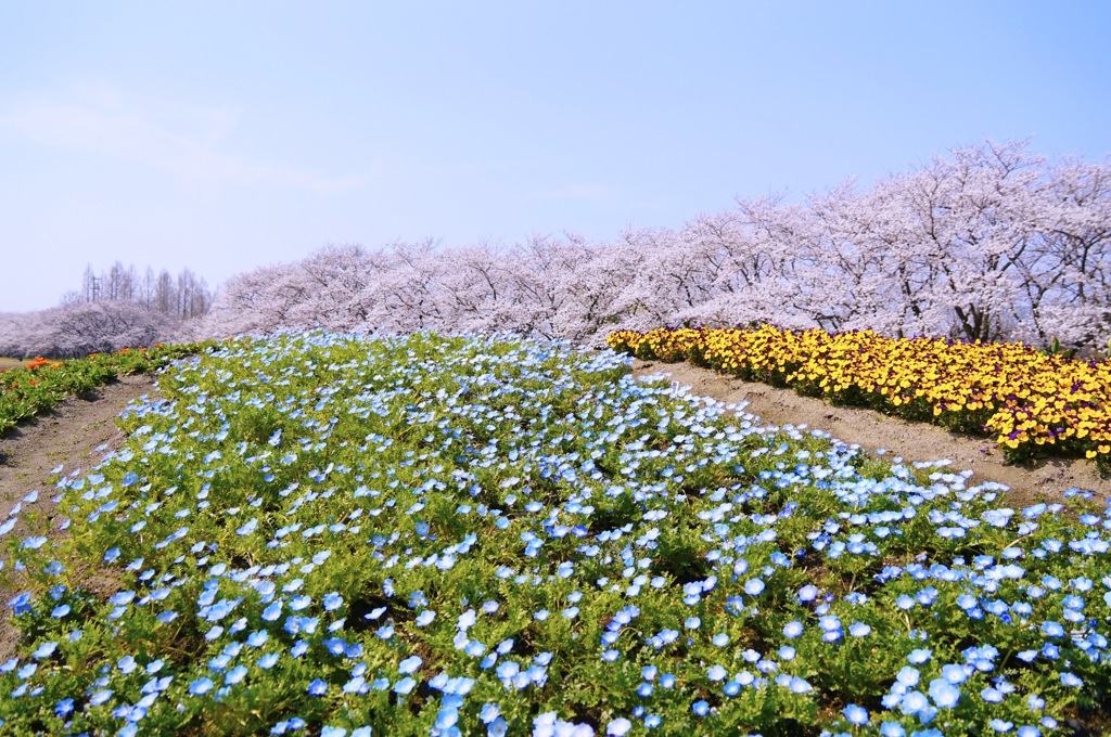 春の景色