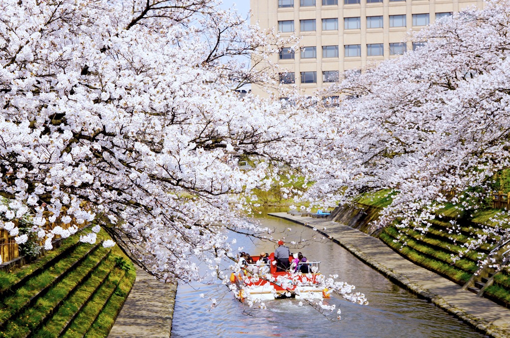 春の川