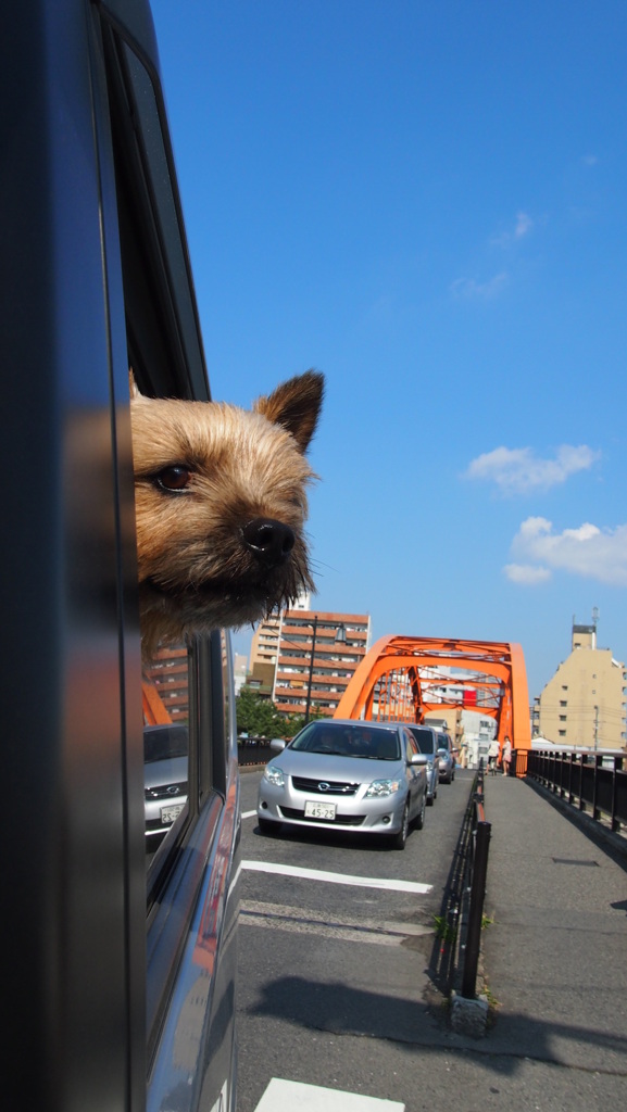 空が青いのう