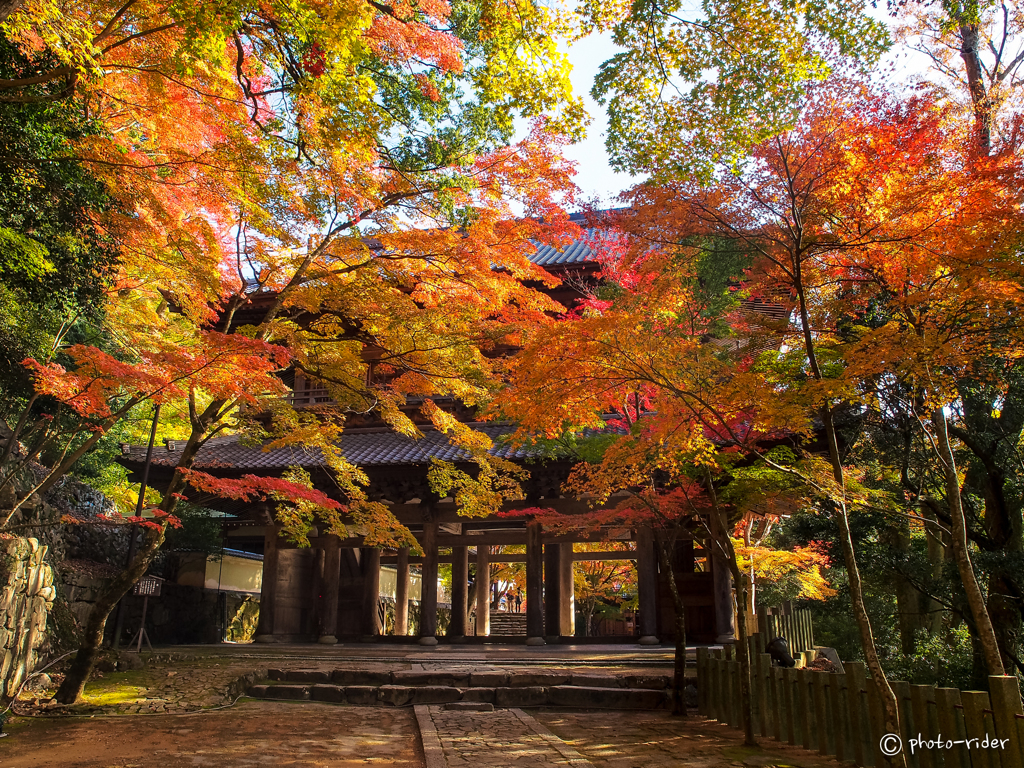 永源寺の紅葉