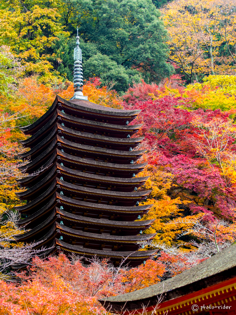 秋談山