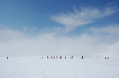 雪原