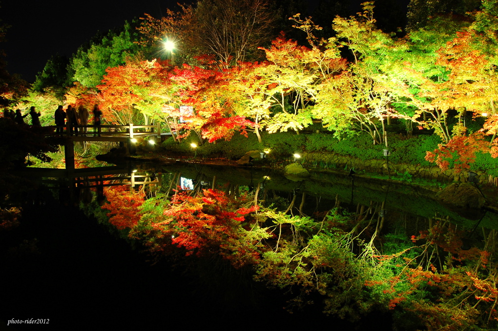 紅葉鏡池