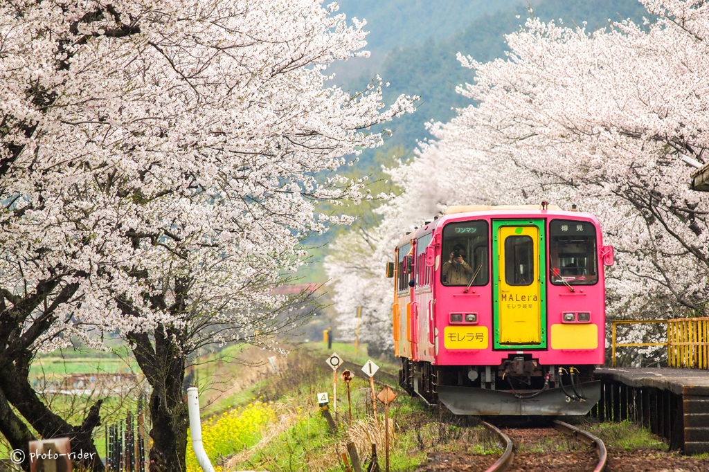 桜樽鉄＊１