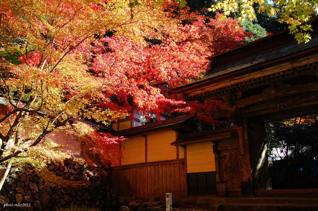 横蔵寺1