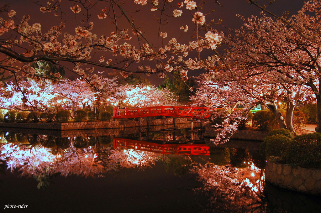 桜橋