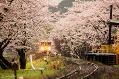 桜色鉄道