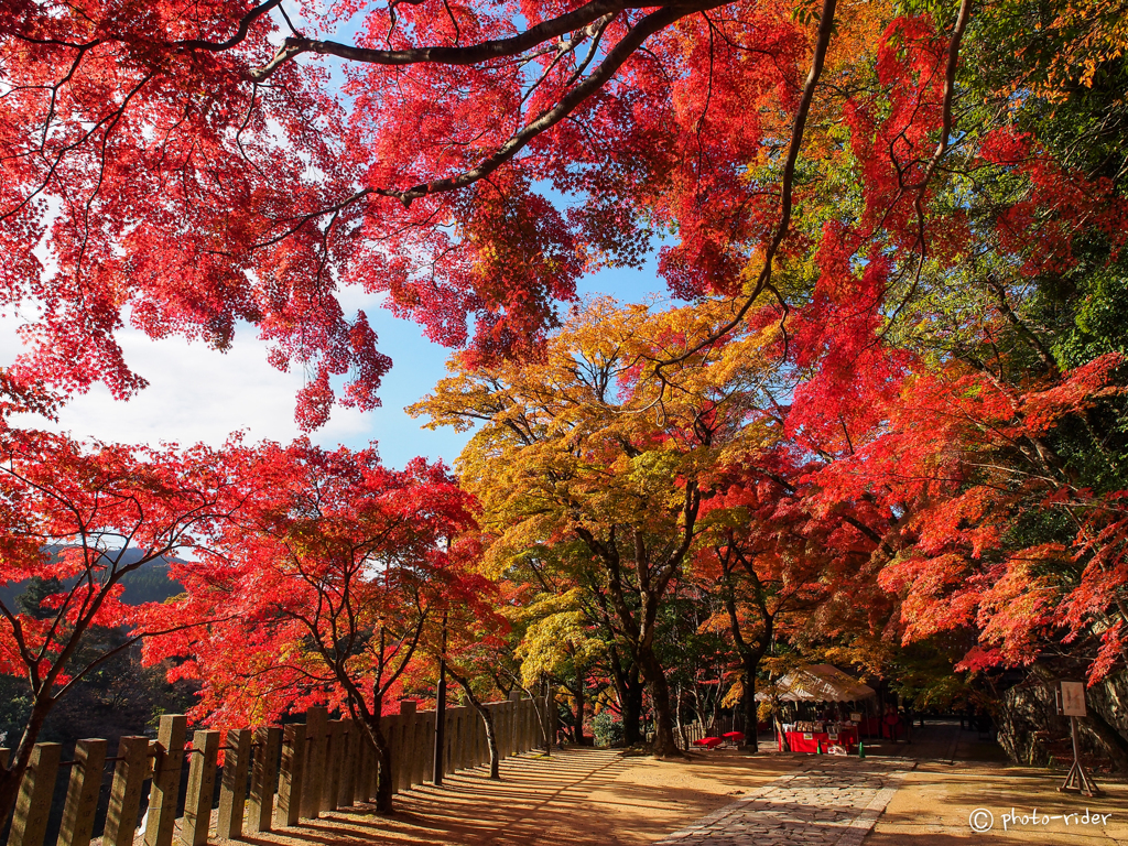 紅葉参道