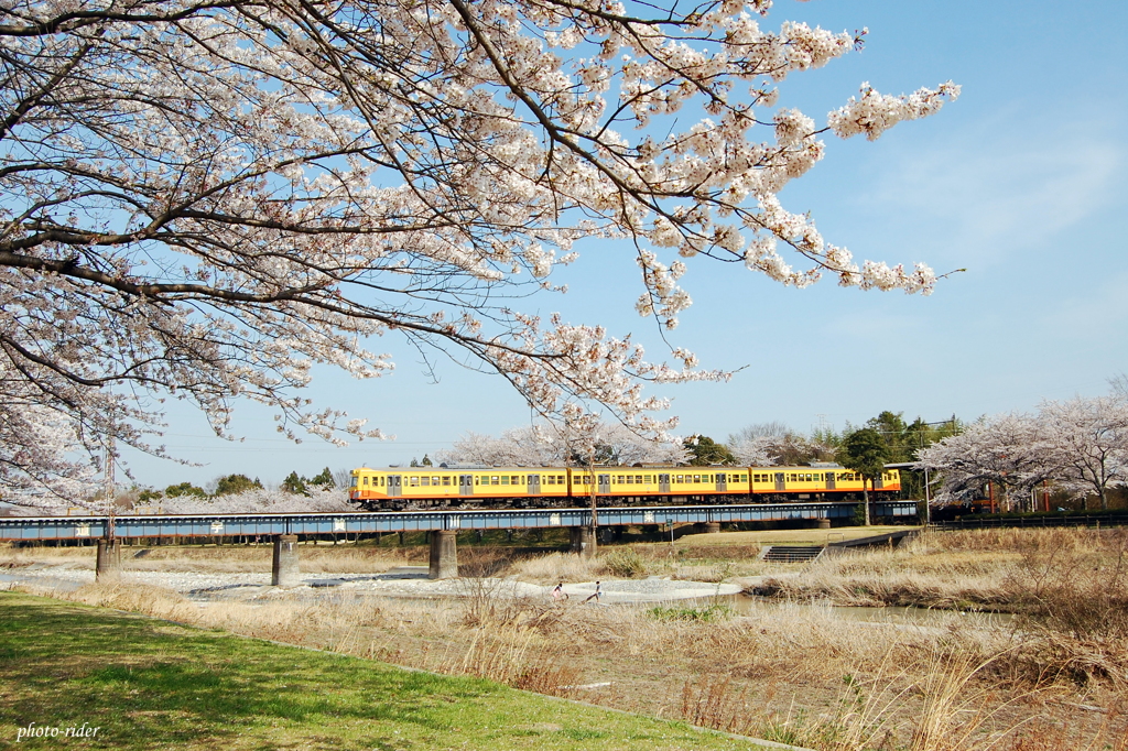 桜鉄2*