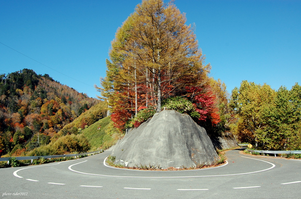 紅葉街道