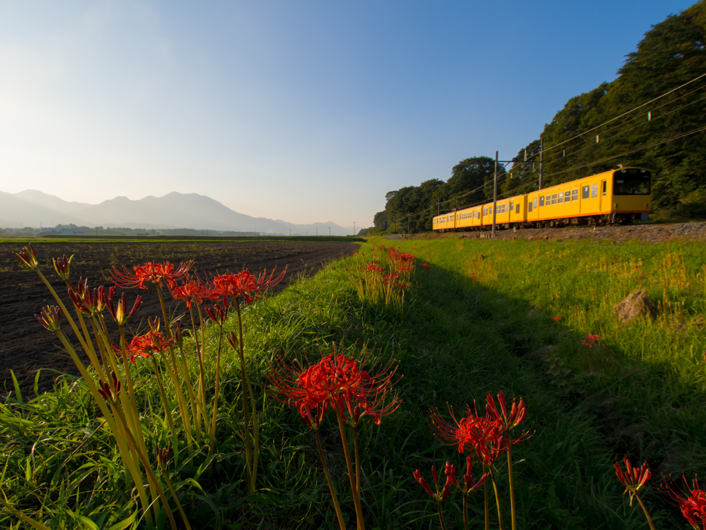 お彼岸列車