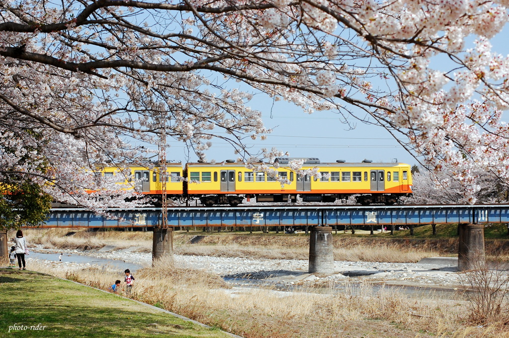 桜鉄*