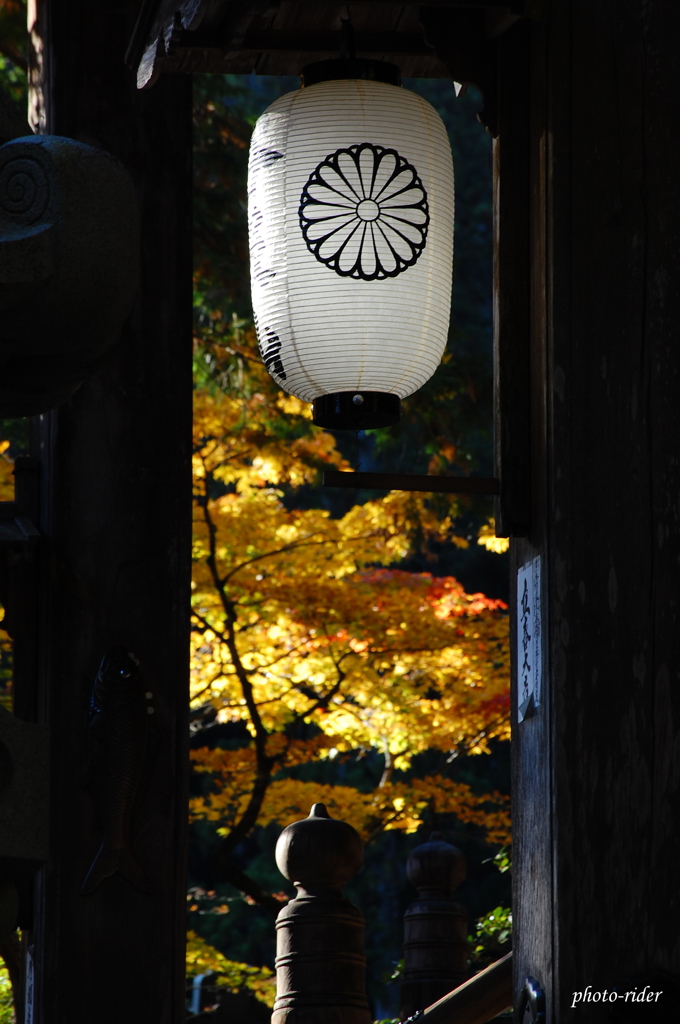 谷汲山華厳寺2