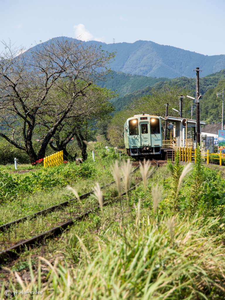 初秋の樽見鉄道