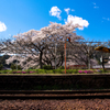 桜駅