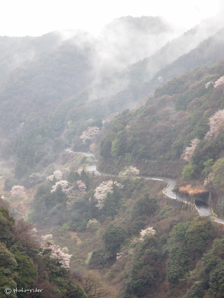 春雨峠