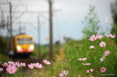 秋色鉄道