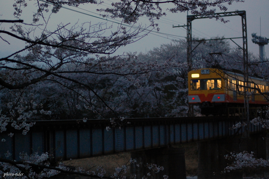 夜桜鉄*