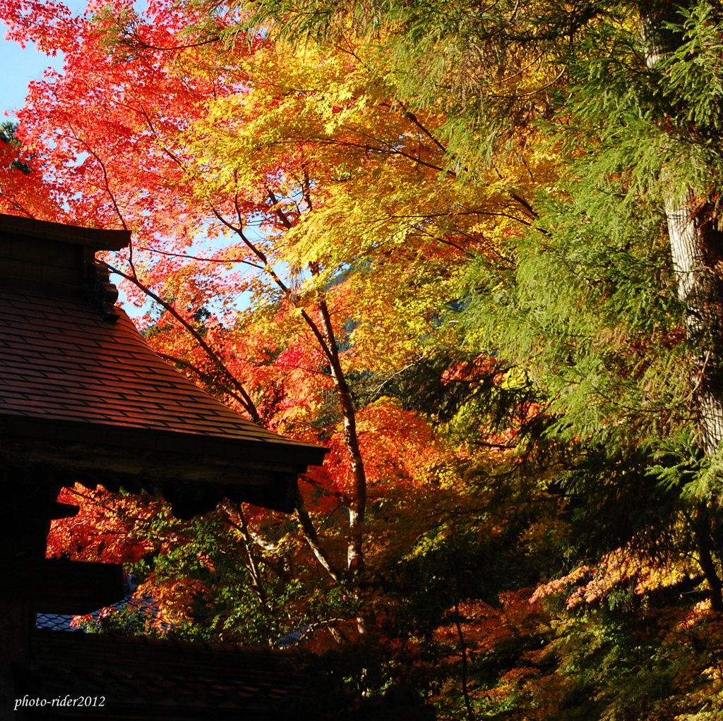谷汲山華厳寺1
