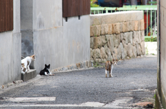 振り返れば奴がいる