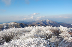 冬の御在所