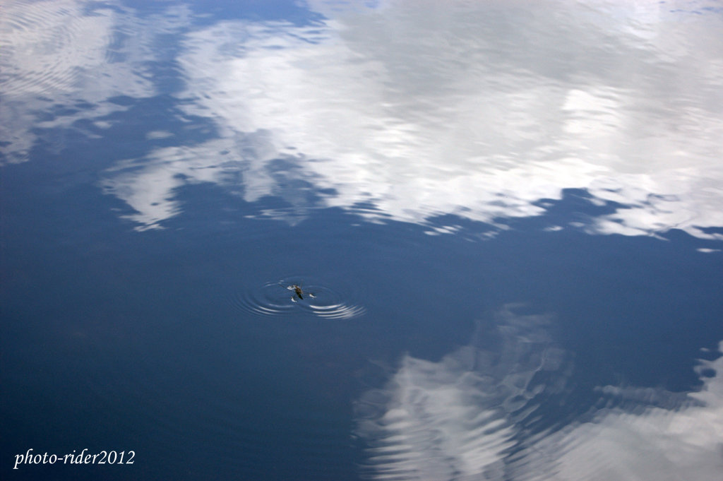 Sky Walking