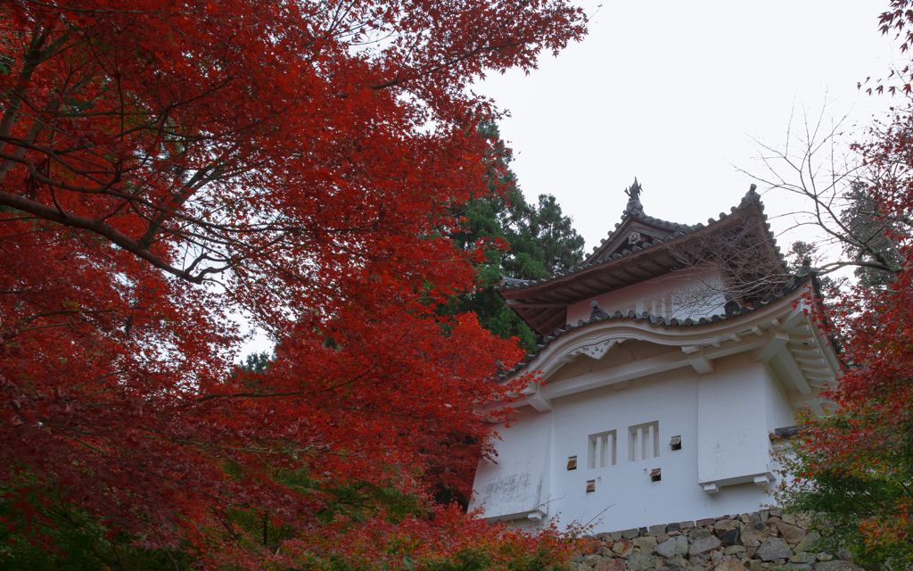 出石城の紅葉