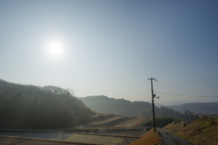 朝日に照らされた田んぼ