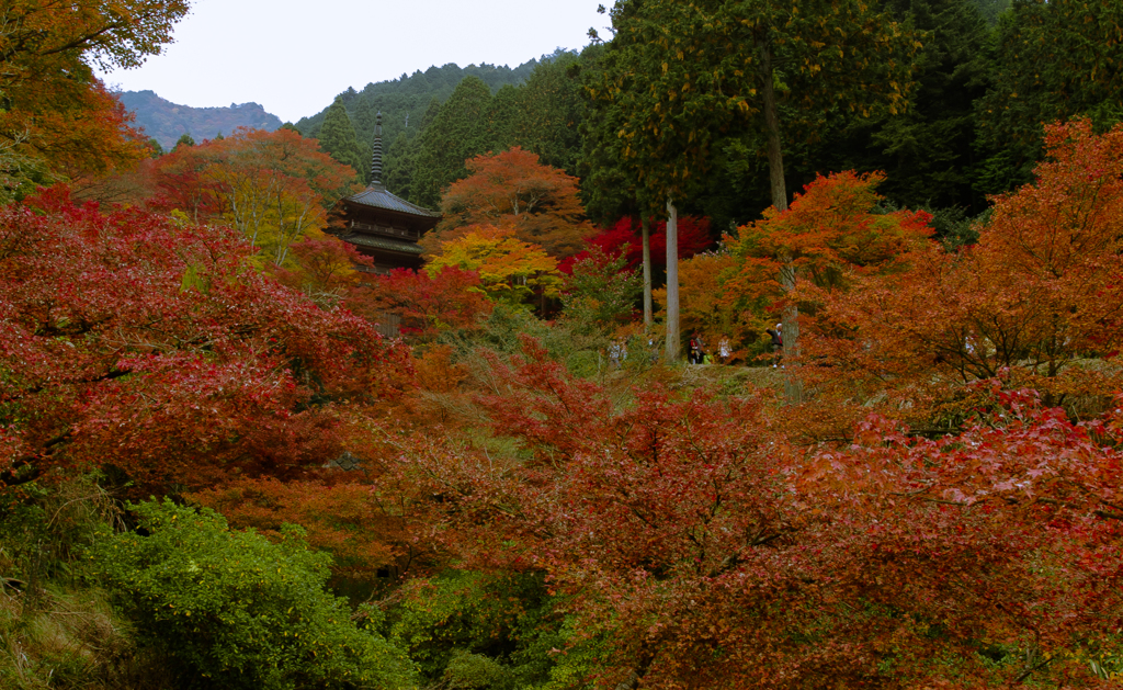 高源寺